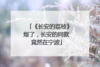 《长安的荔枝》爆了，长安的同款竟然在宁波