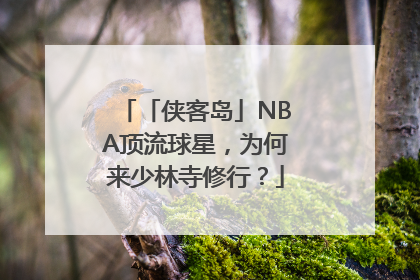 「侠客岛」NBA顶流球星，为何来少林寺修行？