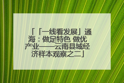 「一线看发展」通海：做足特色 做优产业——云南县域经济样本观察之二