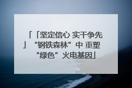 「坚定信心 实干争先」“钢铁森林”中 重塑“绿色”火电基因