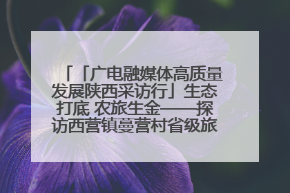 「广电融媒体高质量发展陕西采访行」生态打底 农旅生金——探访西营镇蔓营村省级旅游示范村的振兴密码
