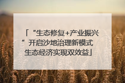 “生态修复+产业振兴”开启沙地治理新模式 生态经济实现双效益