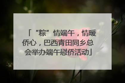 “粽”情端午，情暖侨心，巴西青田同乡总会举办端午慰侨活动