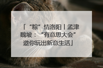 “粽”情洛阳丨孟津魏坡：“有意思大会”邀你玩出新意生活