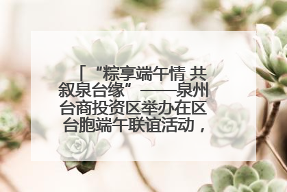“粽享端午情 共叙泉台缘”——泉州台商投资区举办在区台胞端午联谊活动，共话同源深情