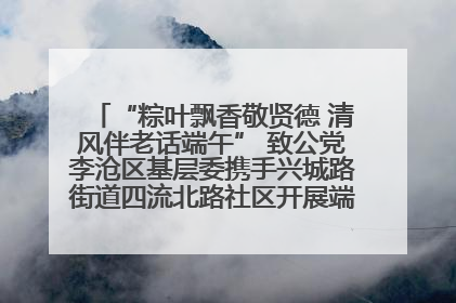 “粽叶飘香敬贤德 清风伴老话端午” 致公党李沧区基层委携手兴城路街道四流北路社区开展端午节主题活动