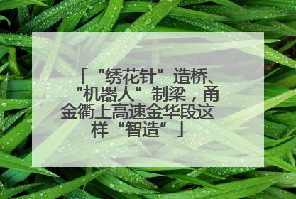 “绣花针”造桥、“机器人”制梁，甬金衢上高速金华段这样“智造”