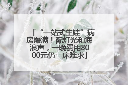 “一站式生娃”病房爆满！配灯光和海浪声，一晚费用8000元仍一床难求