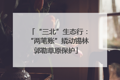 “三北”生态行：“两笔账”撬动锡林郭勒草原保护