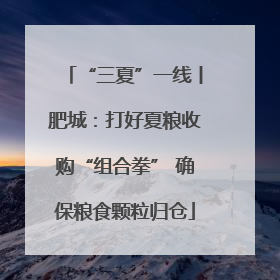 “三夏”一线丨肥城：打好夏粮收购“组合拳” 确保粮食颗粒归仓