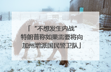 “不想发生内战” 特朗普称如果需要将向加州增派国民警卫队