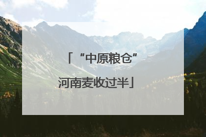 “中原粮仓”河南麦收过半