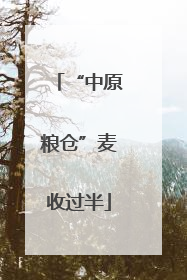 “中原粮仓”麦收过半