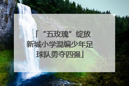 “五玫瑰”绽放 新城小学混编少年足球队勇夺四强