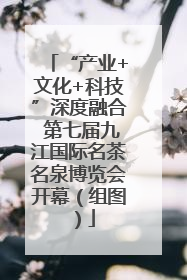 “产业+文化+科技”深度融合 第七届九江国际名茶名泉博览会开幕（组图）