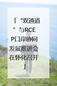 “双通道”与RCEP口岸协同发展推进会在怀化召开