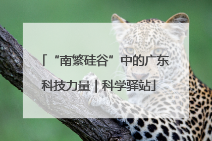 “南繁硅谷”中的广东科技力量｜科学驿站