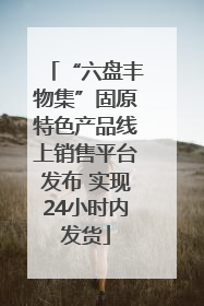 “六盘丰物集”固原特色产品线上销售平台发布 实现24小时内发货