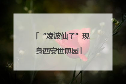 “凌波仙子”现身西安世博园