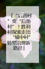 “后进村”变“后劲村”！胜利村探索走出“城中村”转型治理新路径