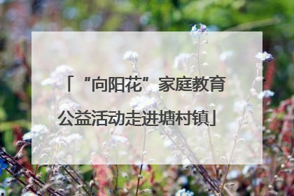 “向阳花”家庭教育公益活动走进塘村镇