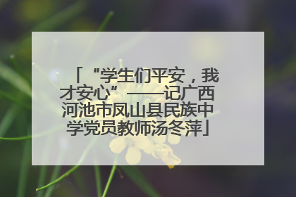 “学生们平安，我才安心”——记广西河池市凤山县民族中学党员教师汤冬萍