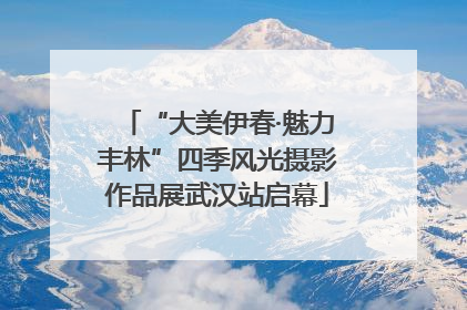 “大美伊春·魅力丰林”四季风光摄影作品展武汉站启幕