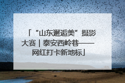 “山东邂逅美”摄影大赛｜泰安西岭巷——网红打卡新地标