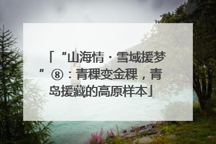 “山海情・雪域援梦”⑧：青稞变金稞，青岛援藏的高原样本