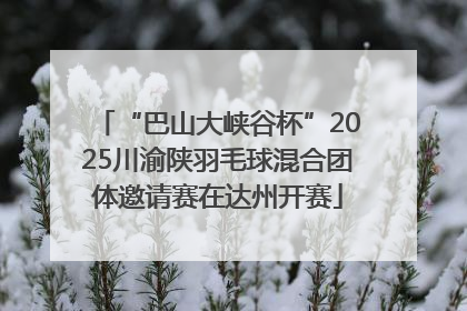 “巴山大峡谷杯”2025川渝陕羽毛球混合团体邀请赛在达州开赛