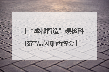“成都智造”硬核科技产品闪耀西博会