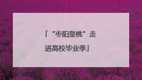 “枣阳皇桃”走进高校毕业季
