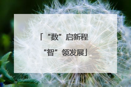 “数”启新程 “智”领发展