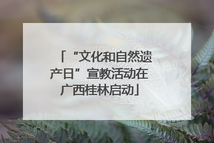 “文化和自然遗产日”宣教活动在广西桂林启动