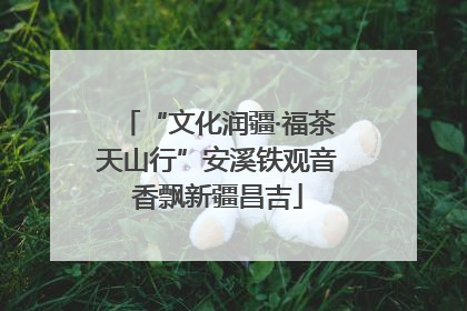 “文化润疆·福茶天山行”安溪铁观音香飘新疆昌吉