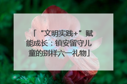 “文明实践+”赋能成长：镇安留守儿童的别样六一礼物