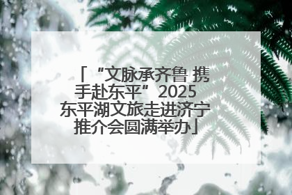 “文脉承齐鲁 携手赴东平”2025东平湖文旅走进济宁推介会圆满举办
