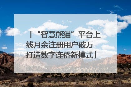 “智慧熊猫”平台上线月余注册用户破万 打造数字连侨新模式