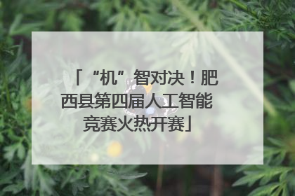 “机”智对决！肥西县第四届人工智能竞赛火热开赛