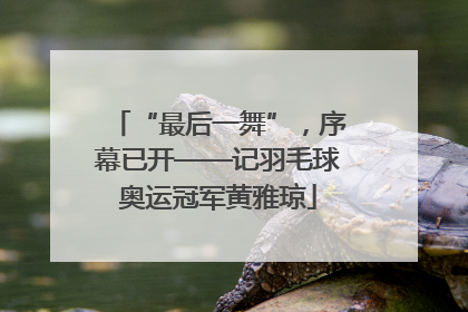 “最后一舞”，序幕已开——记羽毛球奥运冠军黄雅琼