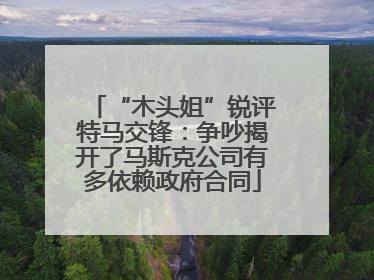 “木头姐”锐评特马交锋：争吵揭开了马斯克公司有多依赖政府合同
