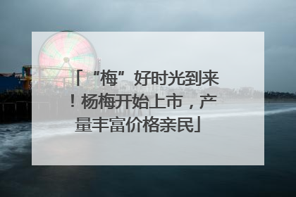 “梅”好时光到来！杨梅开始上市，产量丰富价格亲民
