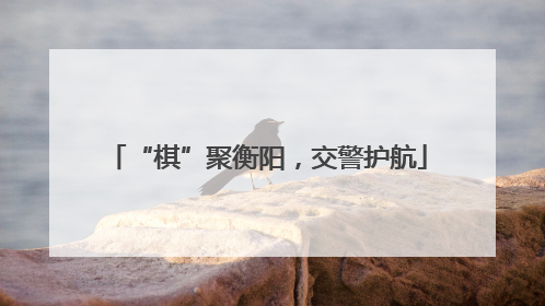“棋”聚衡阳，交警护航