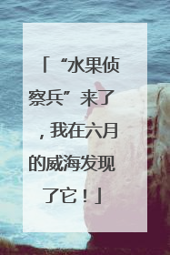 “水果侦察兵”来了，我在六月的威海发现了它！