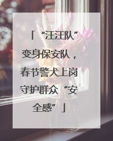 “汪汪队”变身保安队，春节警犬上岗守护群众“安全感”