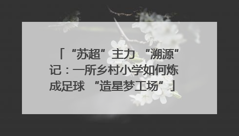 “苏超”主力 “溯源” 记：一所乡村小学如何炼成足球 “造星梦工场”