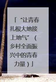 “让青春扎根大地接上地气”（乡村全面振兴中的青春力量）
