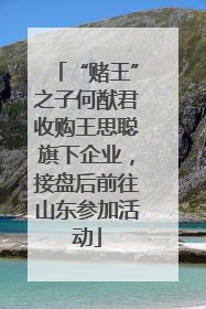 “赌王”之子何猷君收购王思聪旗下企业，接盘后前往山东参加活动