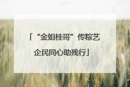 “金姐桂哥”传粽艺 企民同心助残行