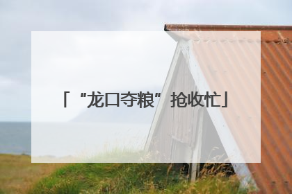 “龙口夺粮”抢收忙